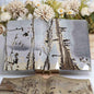PictureJasperBook5382_3 - CrystalHola