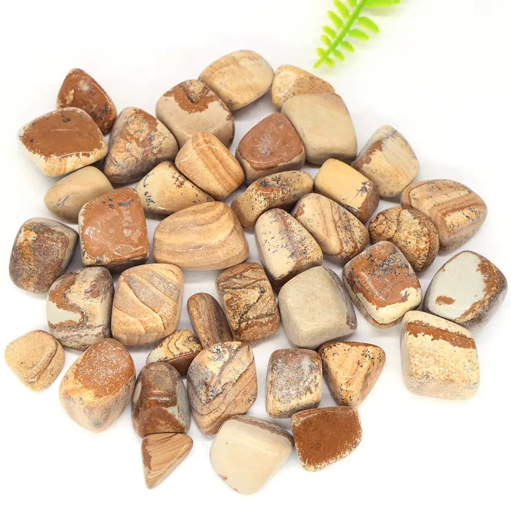 Picture Jasper Tumble Stone - CrystalHola