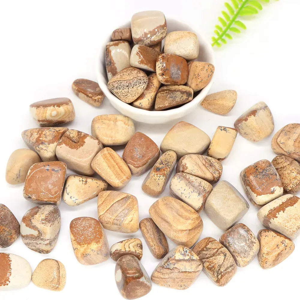 Picture Jasper Tumble Stone - CrystalHola