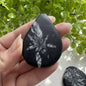 Natural Chrysanthemum Stone Teardrop