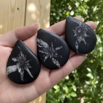 Natural Chrysanthemum Stone Teardrop