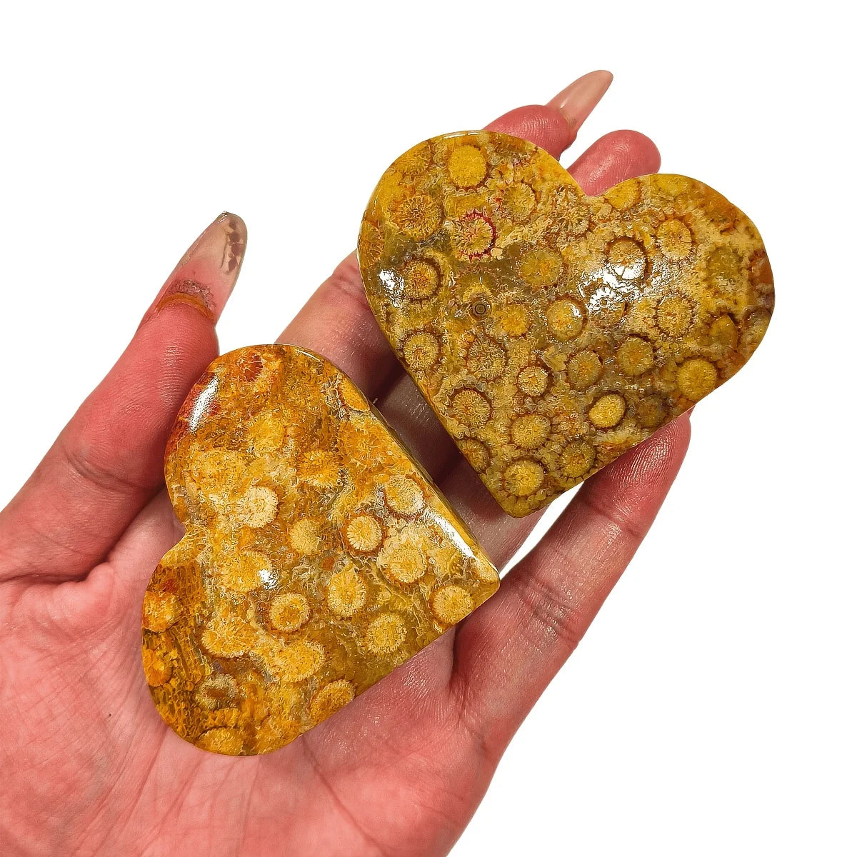Coral Heart quote-onlyquote-only