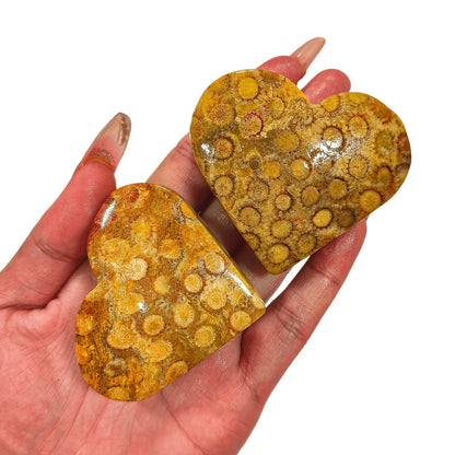 Coral Heart quote-onlyquote-only