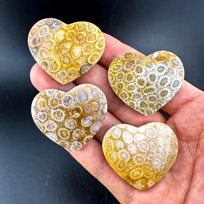 Coral Heart quote-onlyquote-only