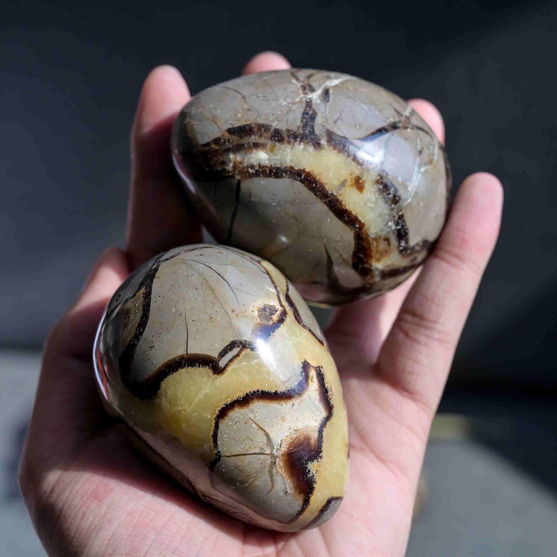 Septarian Egg - CrystalHola