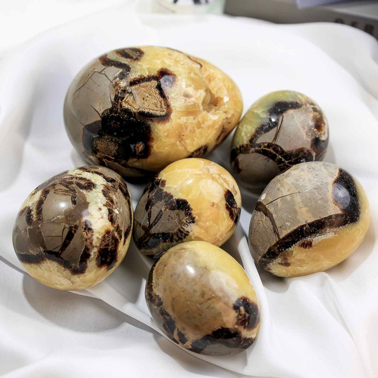 Septarian Egg - CrystalHola