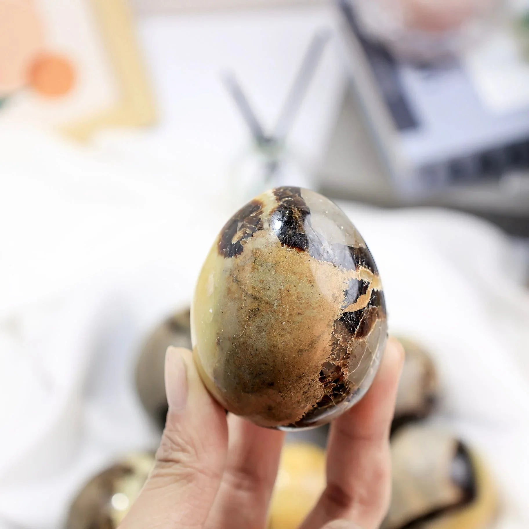 Septarian Egg - CrystalHola