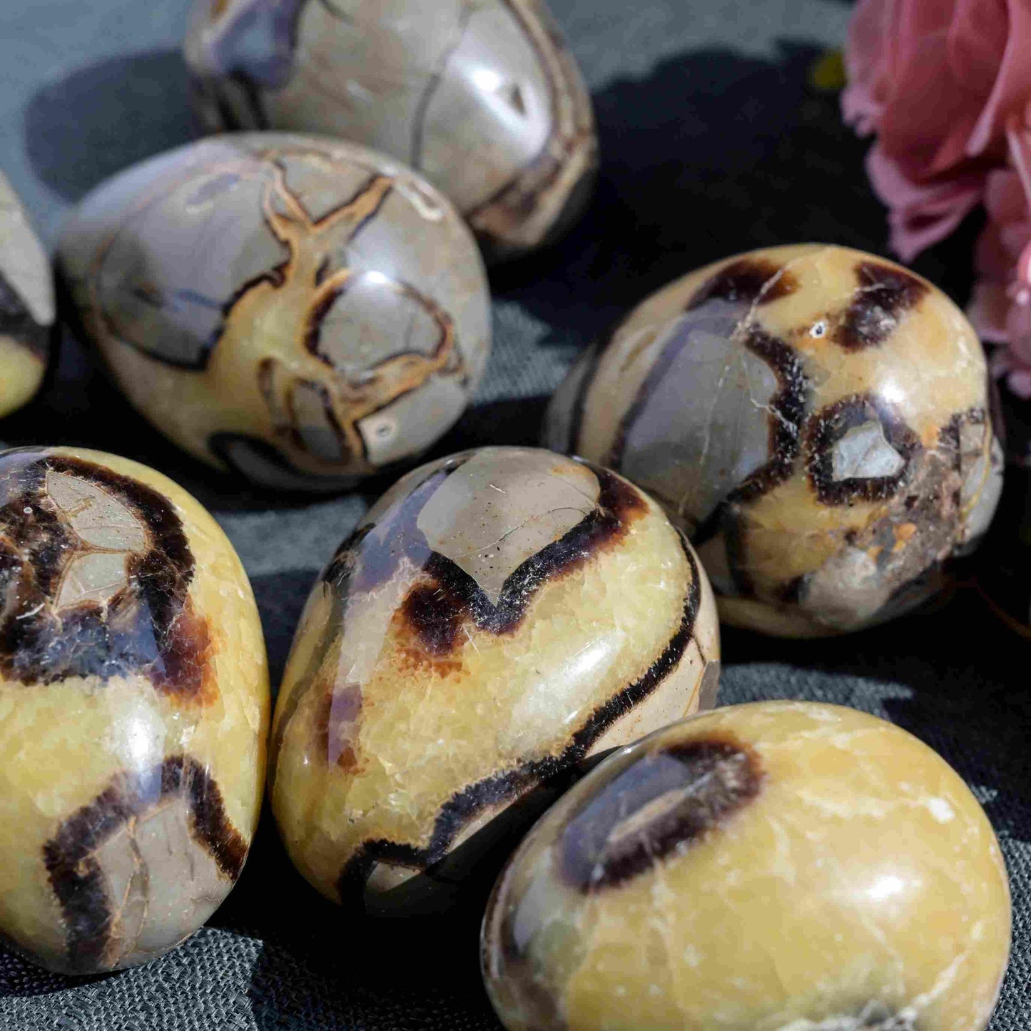 Septarian Egg - CrystalHola