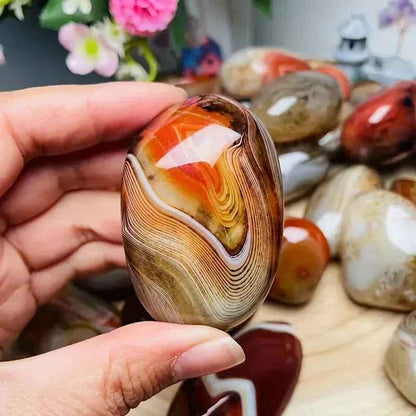 Twisted Agate Palm