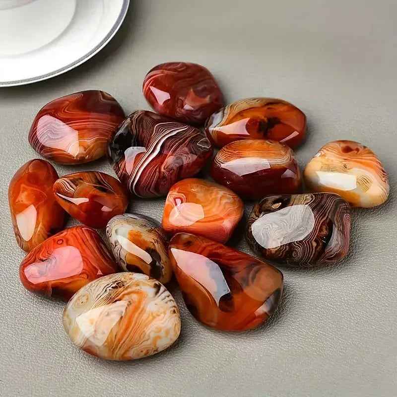Twisted Agate Palm