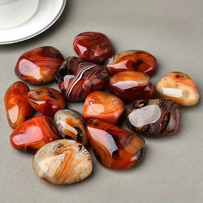 Twisted Agate Palm