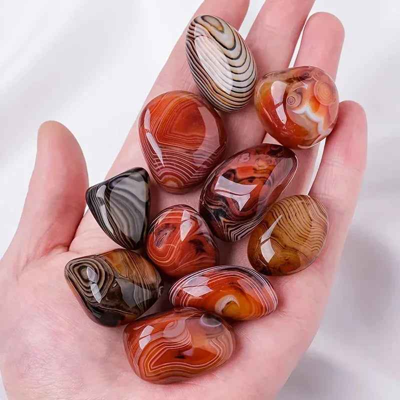 Twisted Agate Palm
