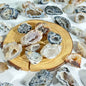 Wholesale Agate  Geode  |CrystalHola