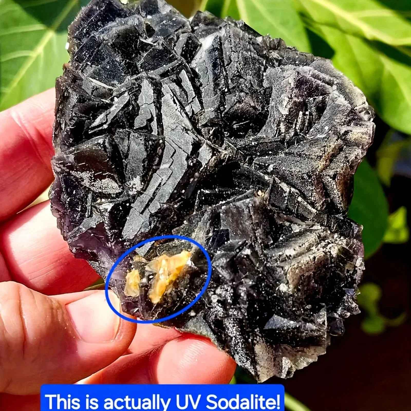 Wholesale Black Rose Fluorite Crystal Mineral|CrystalHola