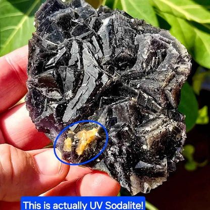 Wholesale Black Rose Fluorite Crystal Mineral|CrystalHola