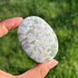 Wholesale Bulk Atlantisite Palm Stone|CrystalHola