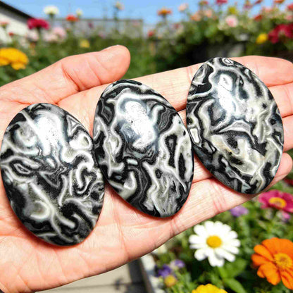 Wholesale Bulk  Black Crazy Lace Agate Palm Stone |CrystalHola