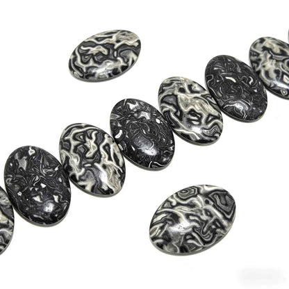 Wholesale Bulk  Black Crazy Lace Agate Palm Stone |CrystalHola