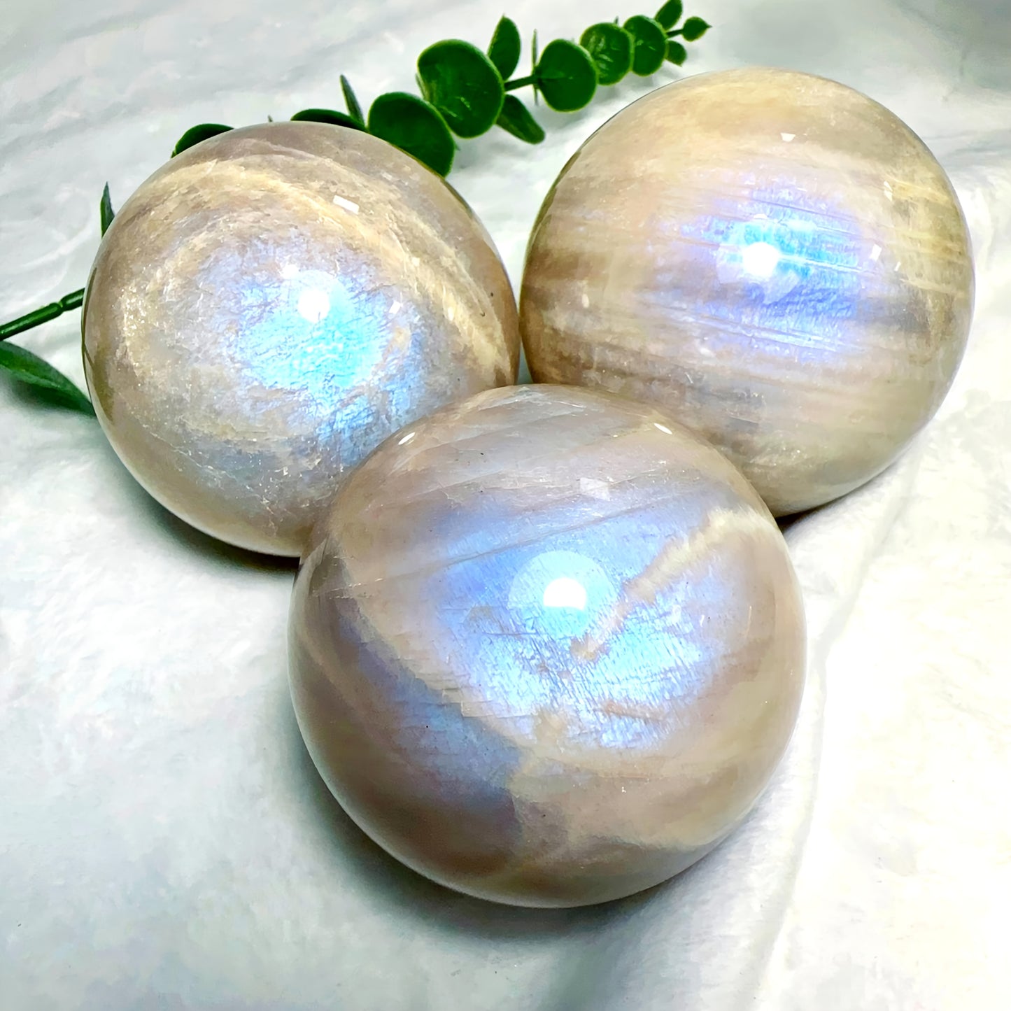 Wholesale Bulk Blue Moonstone Sphere |CrystalHola
