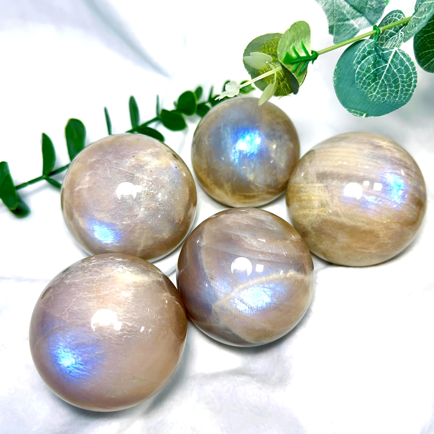 Wholesale Bulk Blue Moonstone Sphere |CrystalHola