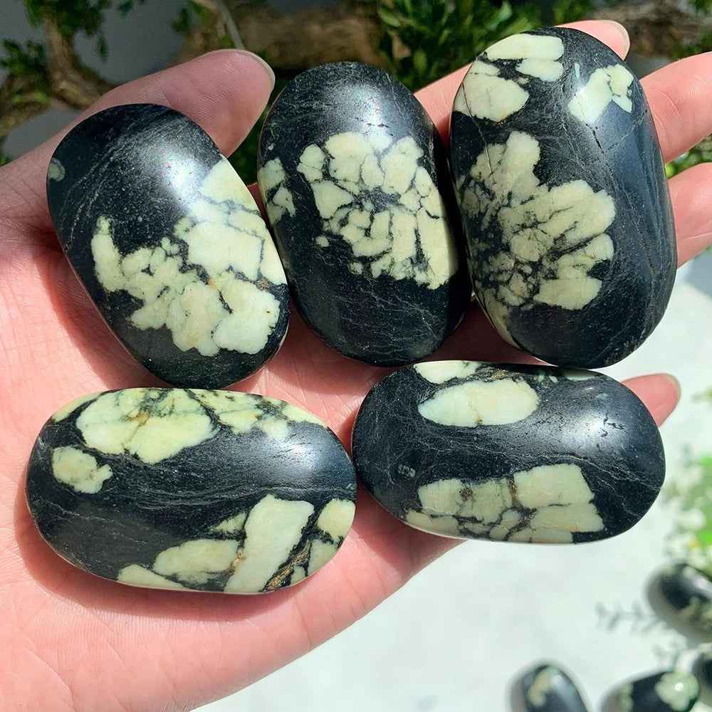 Wholesale Bulk Chrysanthemum Palm Stone |CrystalHola