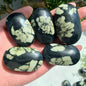 Wholesale Bulk Chrysanthemum Palm Stone |CrystalHola