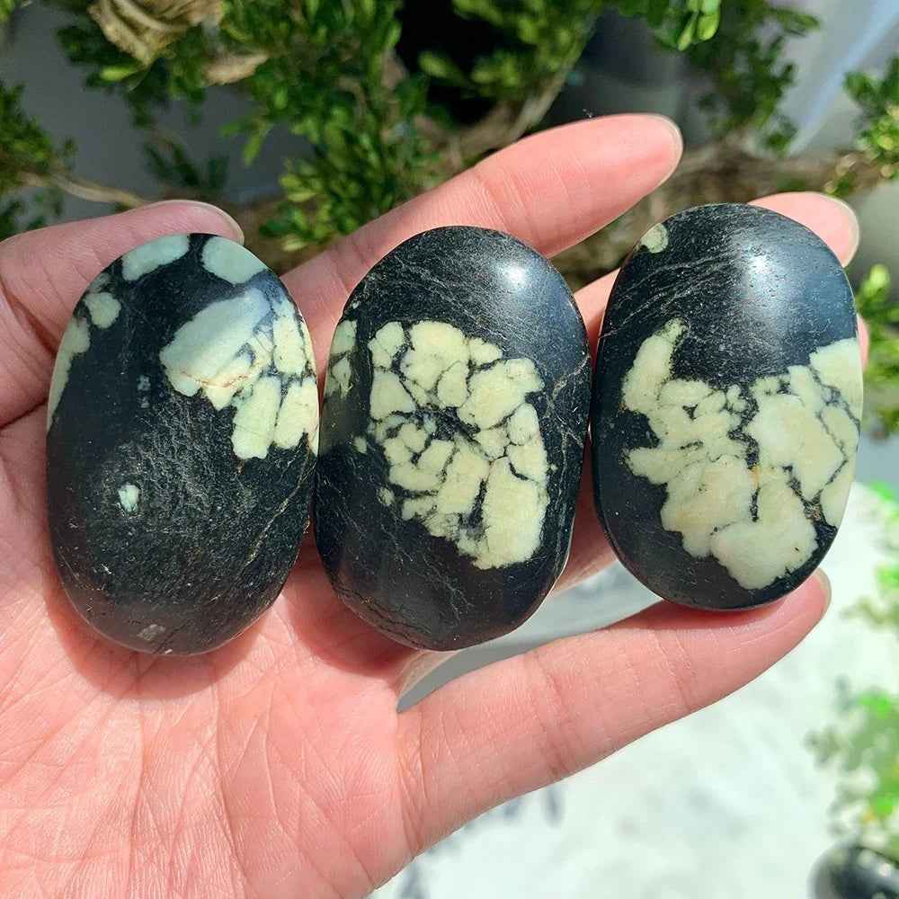 Wholesale Bulk Chrysanthemum Palm Stone |CrystalHola
