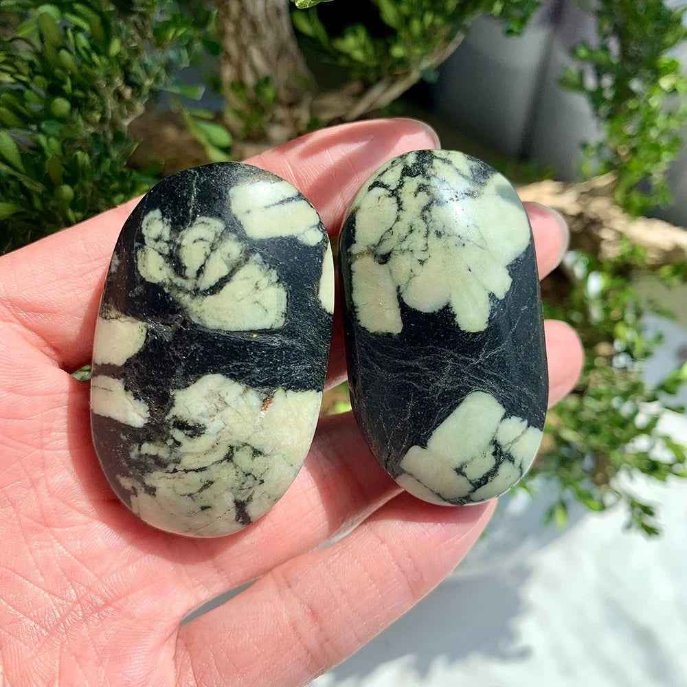 Wholesale Bulk Chrysanthemum Palm Stone |CrystalHola