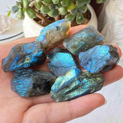 WholesaleBulkLabradoriteRawCrystalHola_2 - CrystalHola