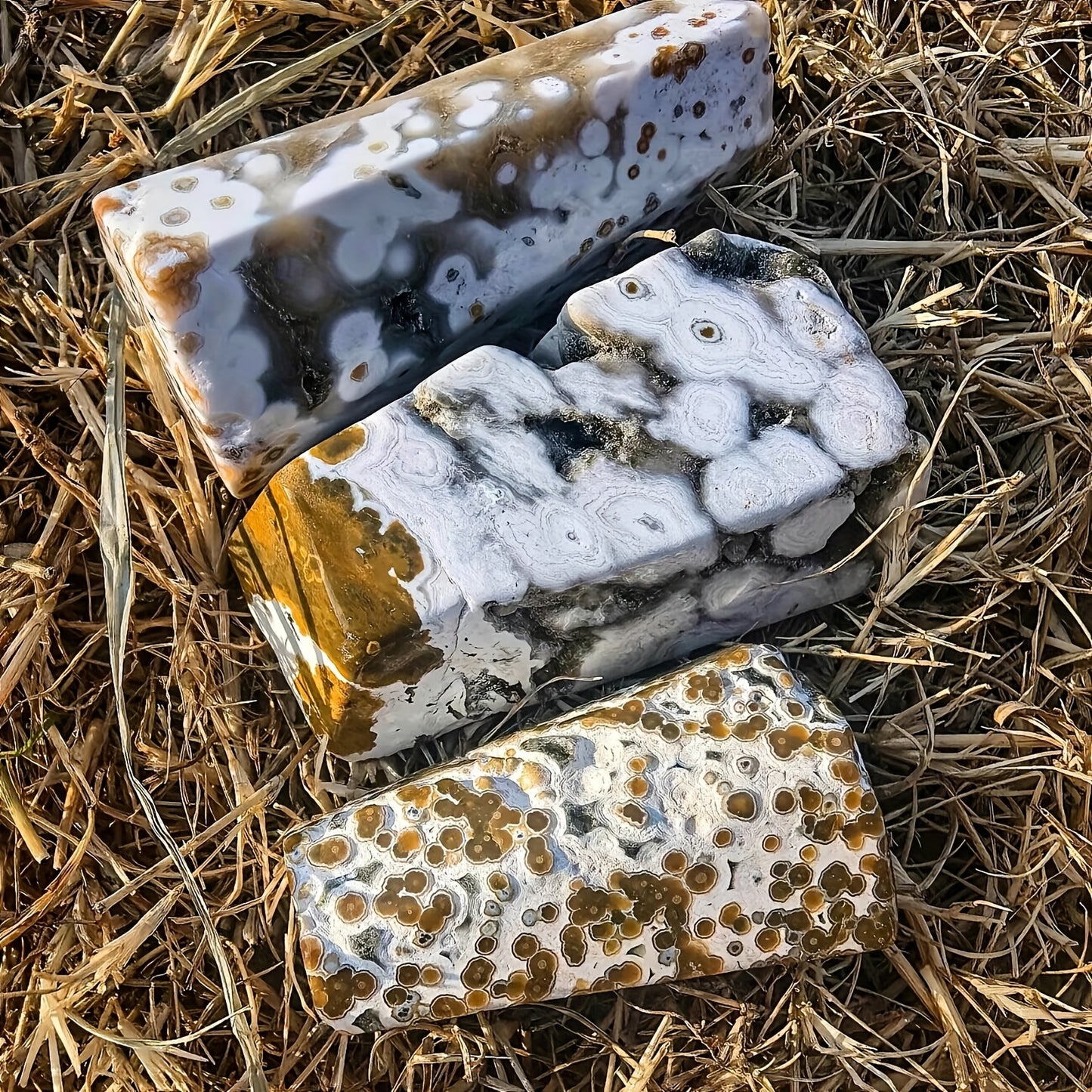 Wholesale Bulk Ocean Jasper Freeform|CrystalHola