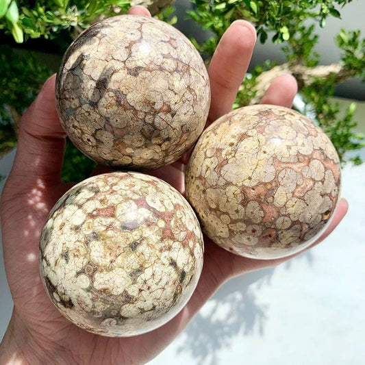 Wholesale Dandelion Agate Sphere|CrystalHola