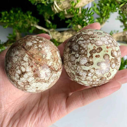 Wholesale Dandelion Agate Sphere|CrystalHola