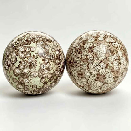 Wholesale Dandelion Agate Sphere|CrystalHola