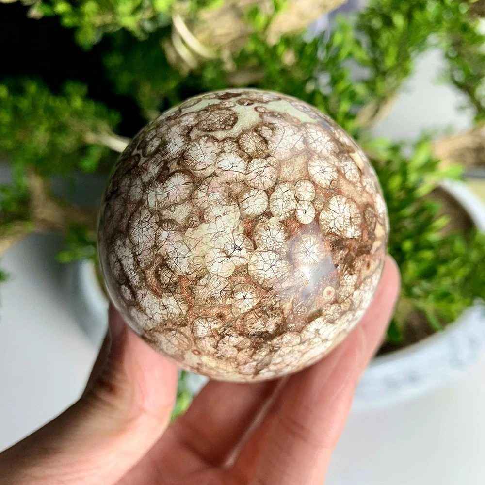 Wholesale Dandelion Agate Sphere|CrystalHola