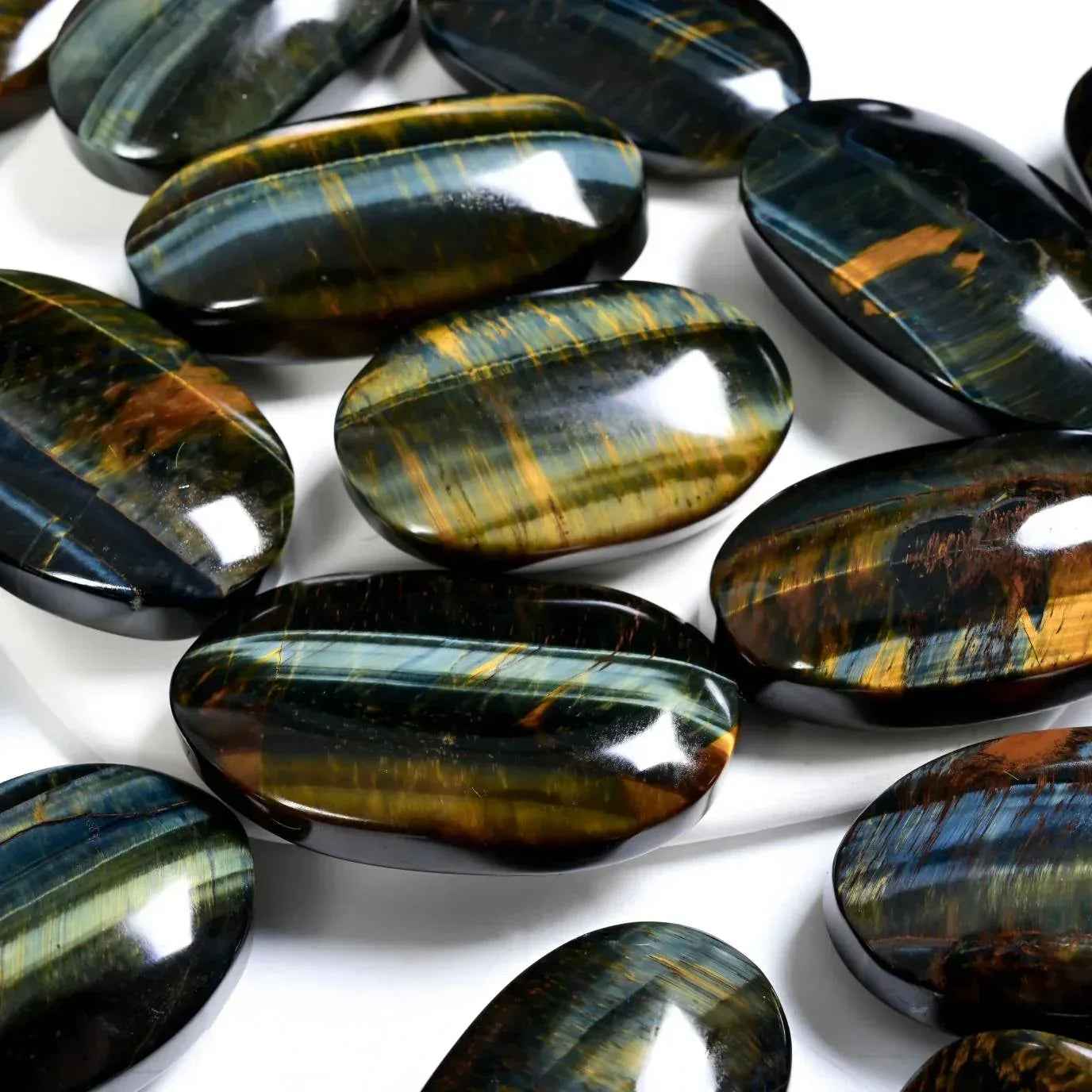 Yellow and Blue Tiger Eye Palm