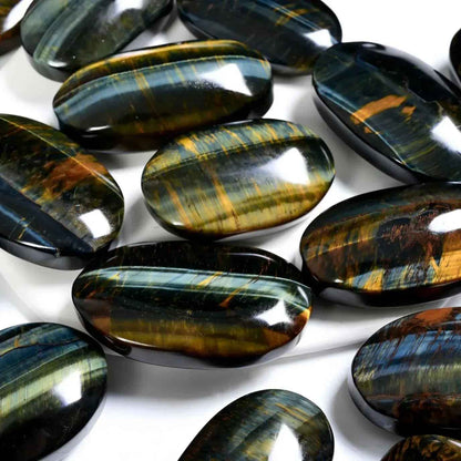 Yellow and Blue Tiger Eye Palm