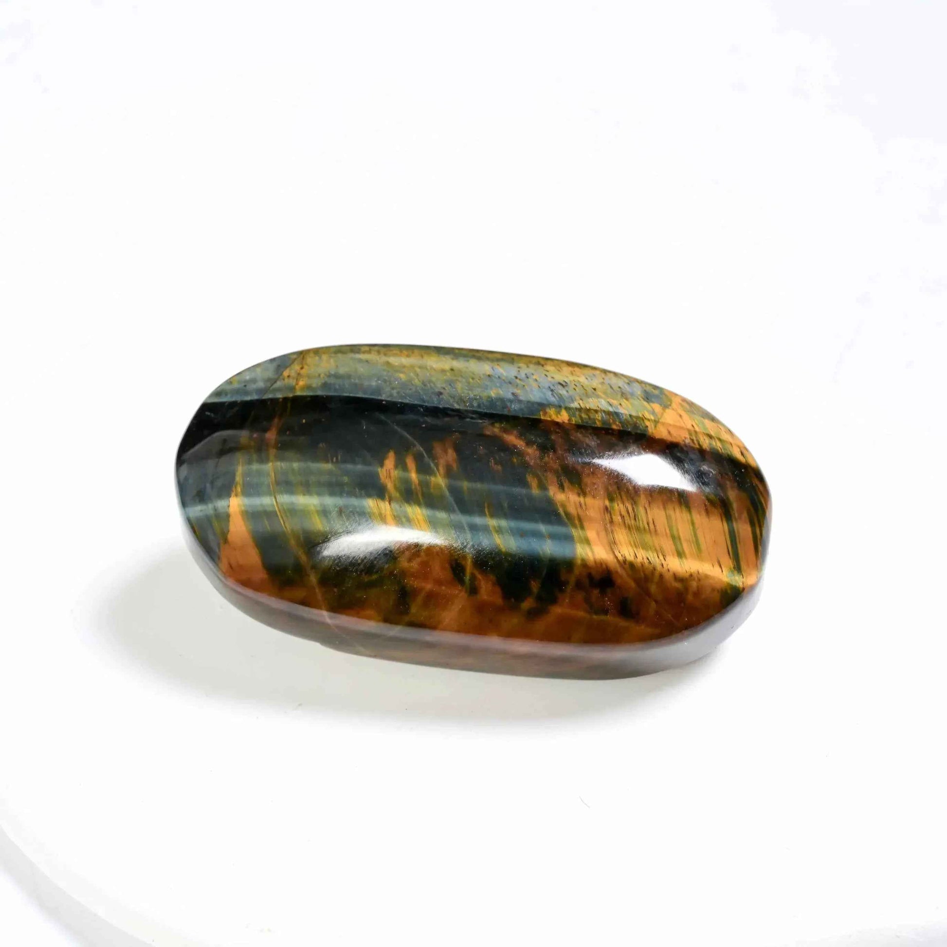 Yellow and Blue Tiger Eye Palm