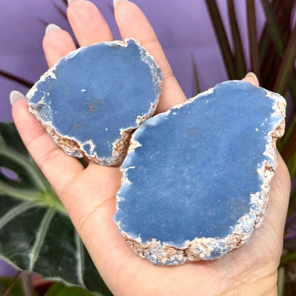 Angelite Raw Slice