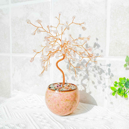 Natural Crystal Tree with Muti|Wholesale CrystalHola