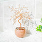 Natural Crystal Tree with Muti|Wholesale CrystalHola