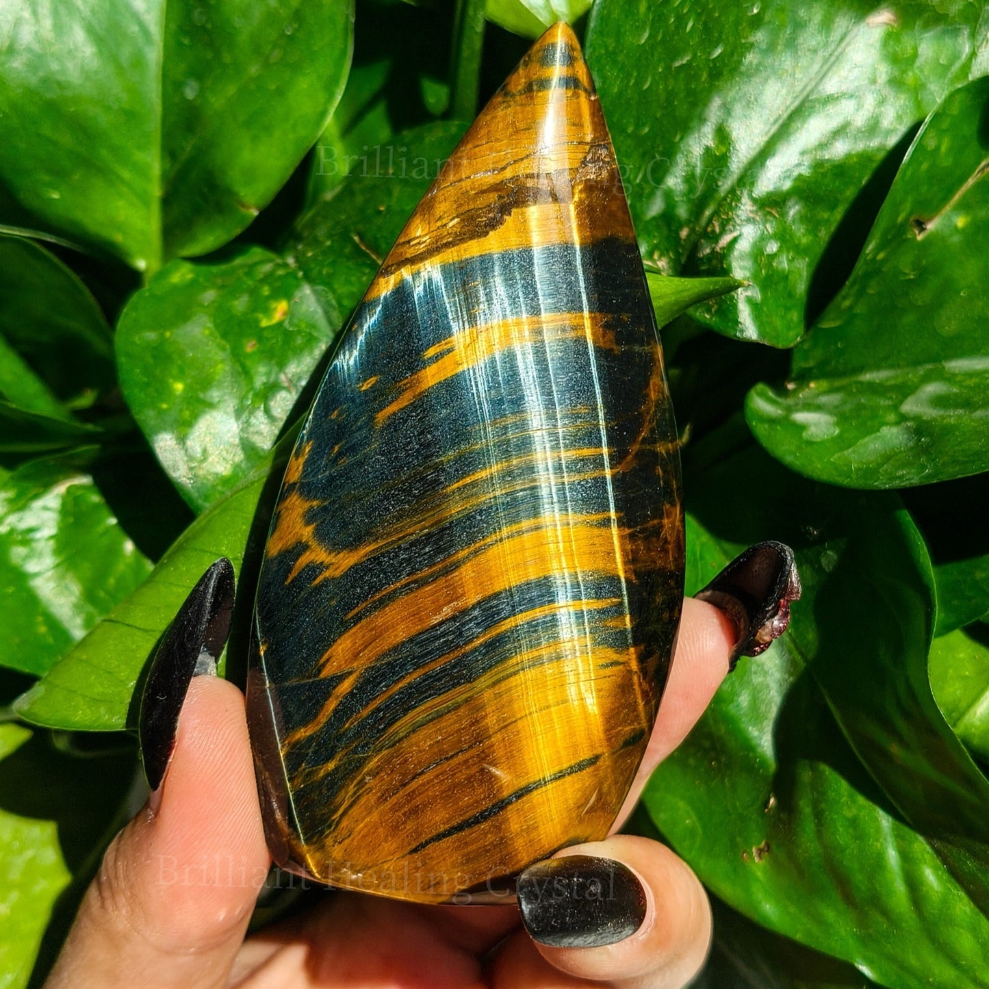 Blue And Yellow Tiger Eye  Teardrop for Decor