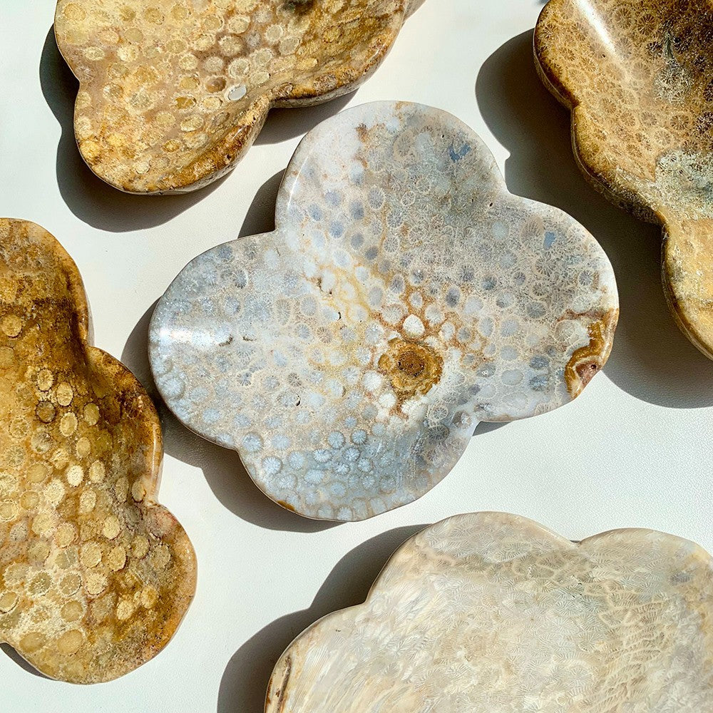 Coral Jasper Bowl for Decor
