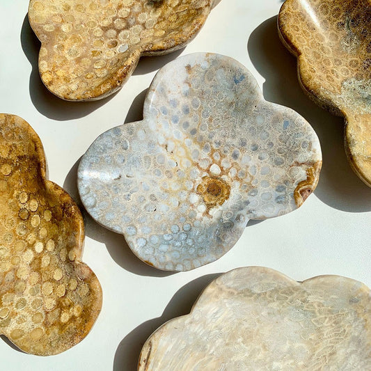 Coral Jasper Bowl for Decor