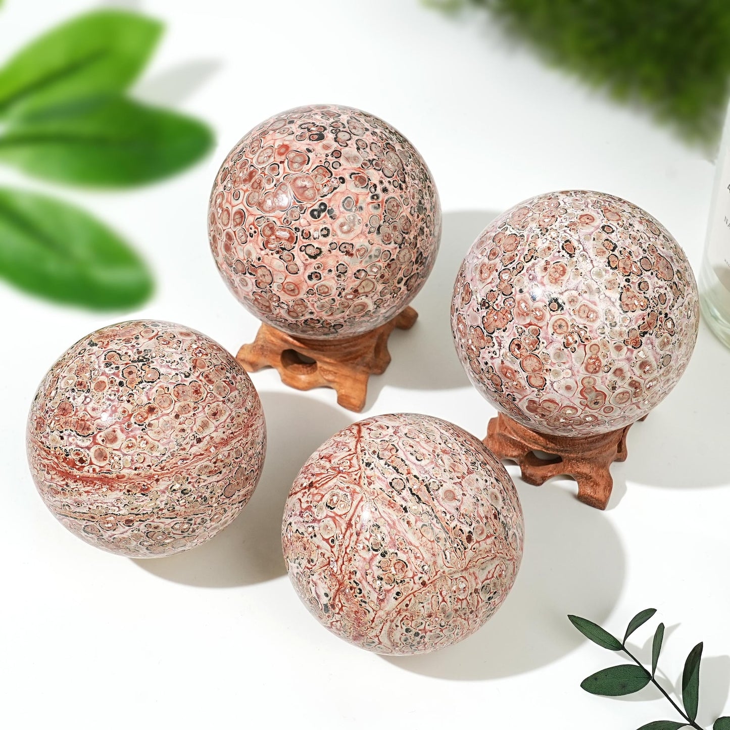 Leopard Skin Jasper Sphere quote-onlyquote-only