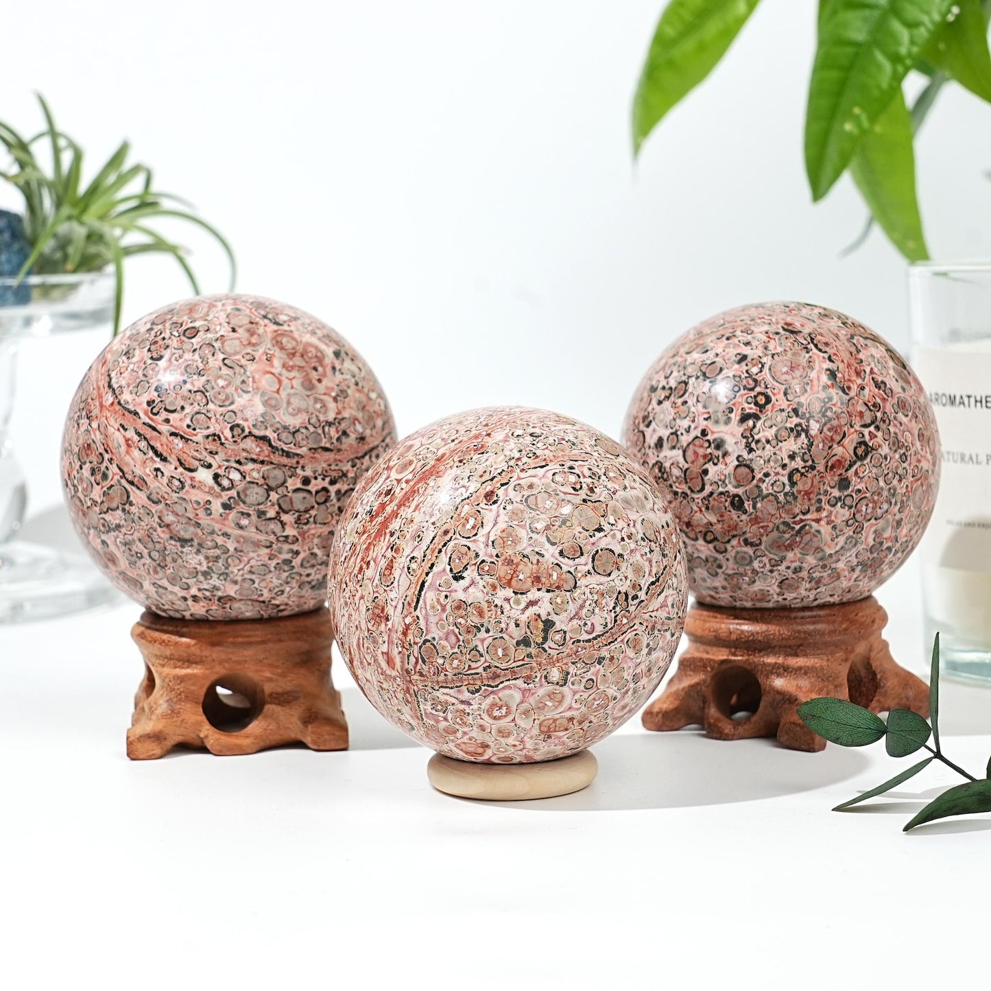 Leopard Skin Jasper Sphere quote-onlyquote-only