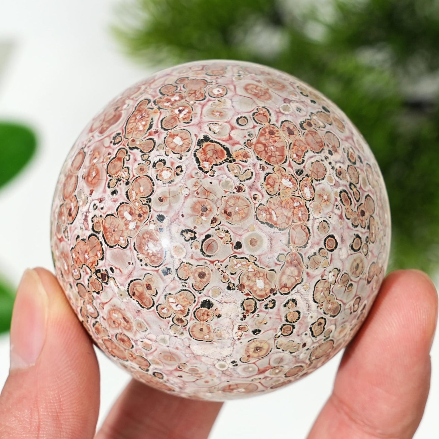 Leopard Skin Jasper Sphere quote-onlyquote-only