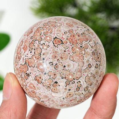 Leopard Skin Jasper Sphere quote-onlyquote-only
