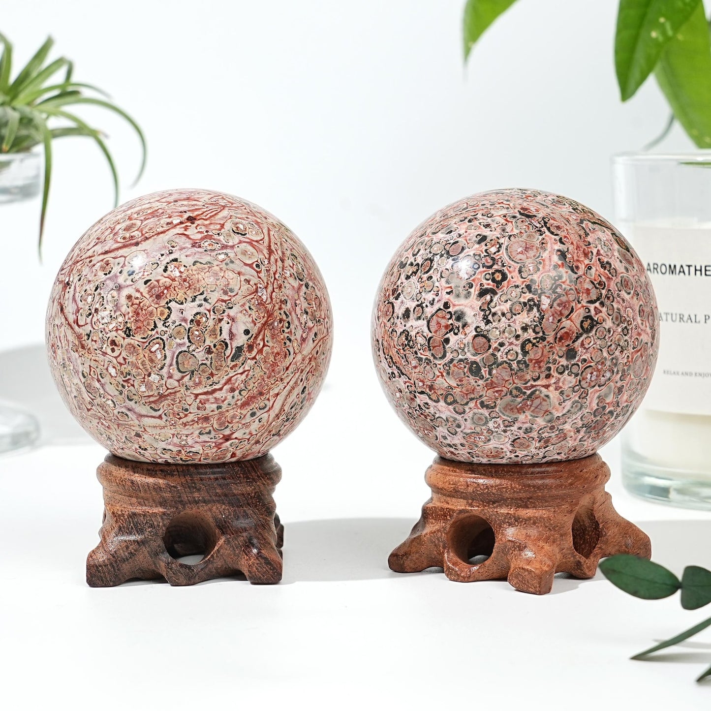 Leopard Skin Jasper Sphere quote-onlyquote-only