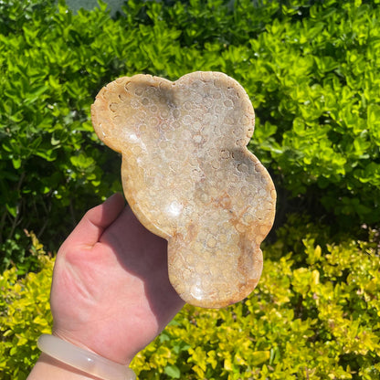 Natural Coral Fossil Bowl quote-only