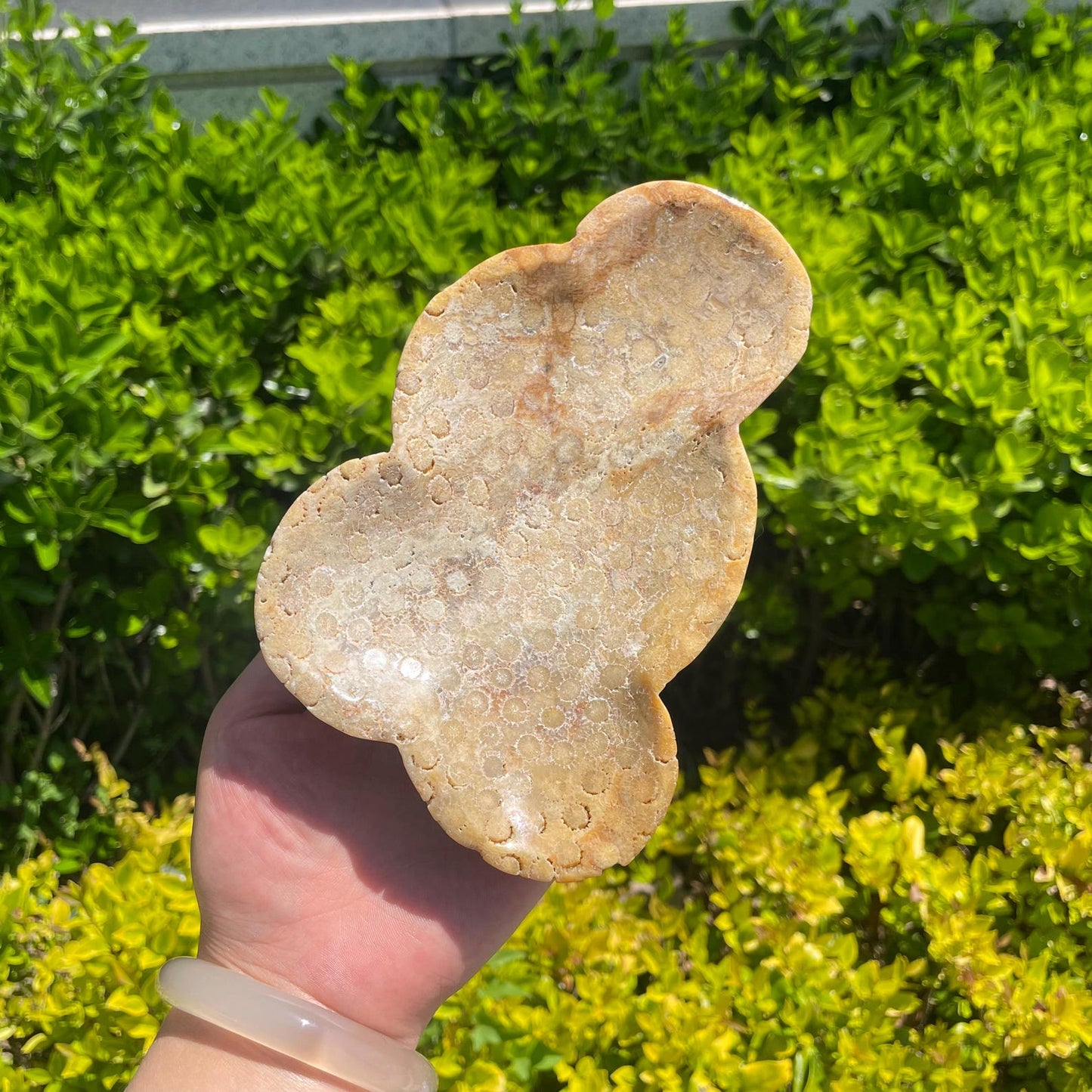 Natural Coral Fossil Bowl quote-only